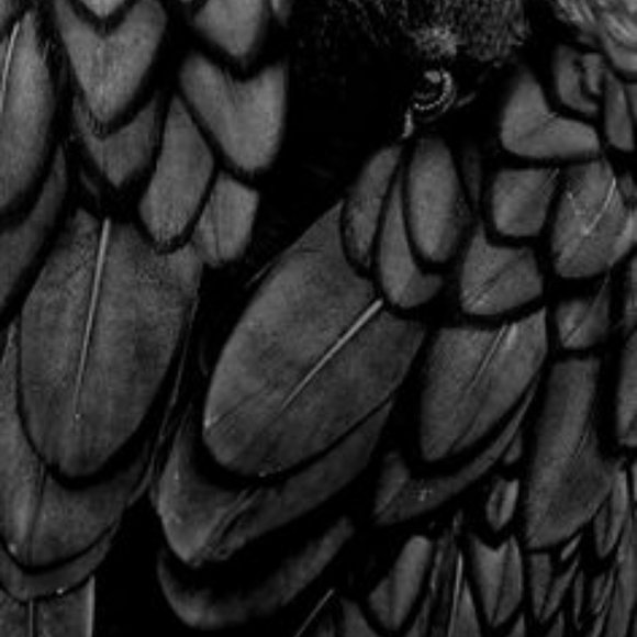 BLACK IS MINIMALIST CHIC MYSTERY BOX (10 ITEMS) - Picture 5 of 6